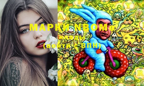 прущие грибы Дмитриев