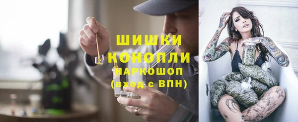 прущие грибы Дмитриев