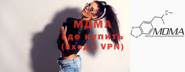 прущие грибы Дмитриев