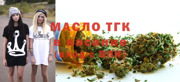 прущие грибы Дмитриев
