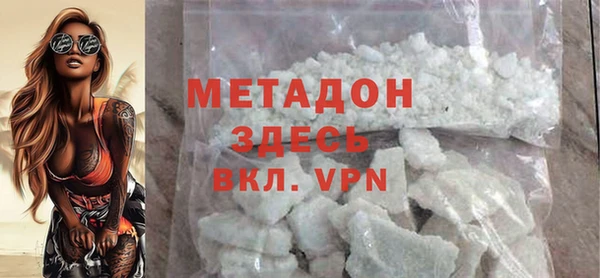 прущие грибы Дмитриев