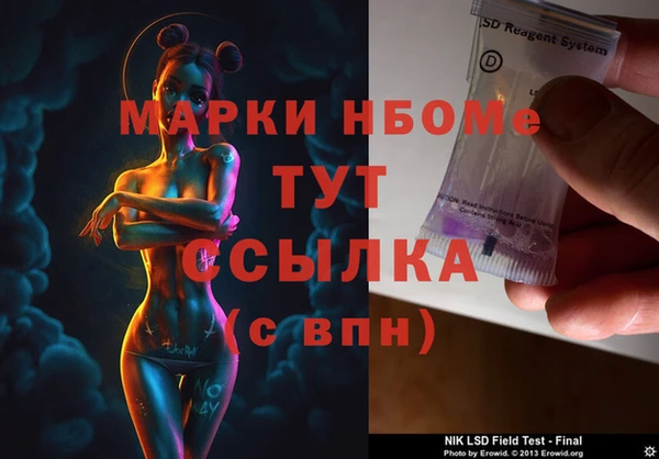 прущие грибы Дмитриев