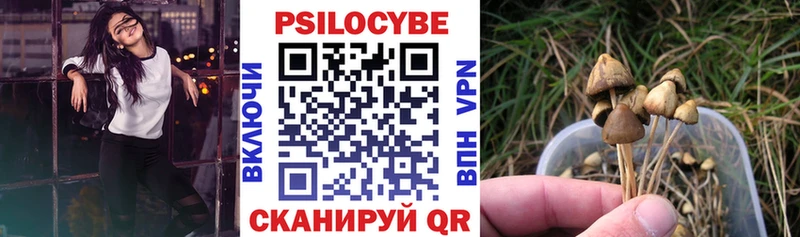 Псилоцибиновые грибы мицелий  закладка  Краснослободск 